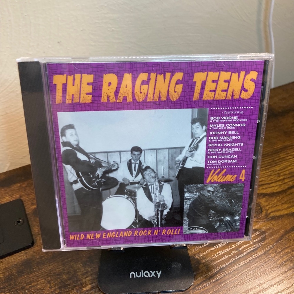 The Raging Teens Volume 4 Wild New England Rock N Roll CD Norton Records CED-296